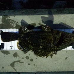 ガシリング　久しぶりにイイ感じでした！