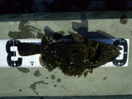 ガシリング　久しぶりにイイ感じでした！