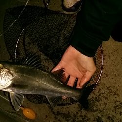 思ってるよりダメでした