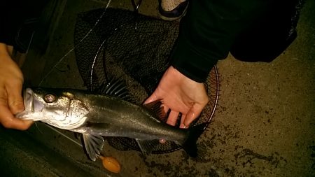 思ってるよりダメでした