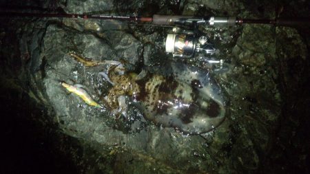 串本周辺をランガン！