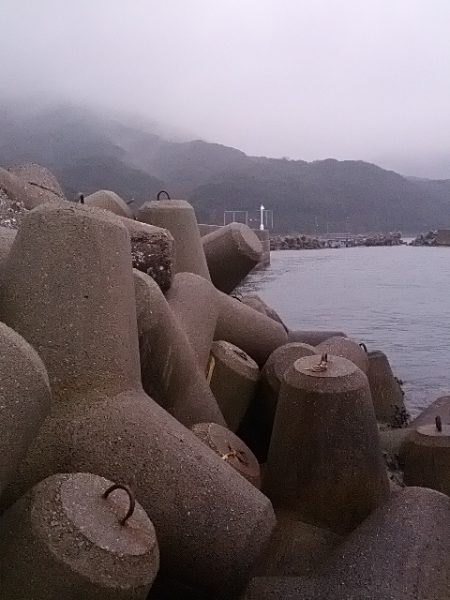 小島漁港　雨中の根魚三昧