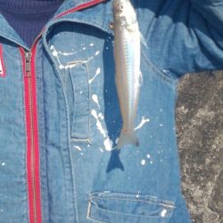 串本港　家族でキッシング！