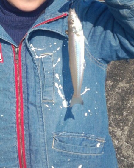 串本港　家族でキッシング！