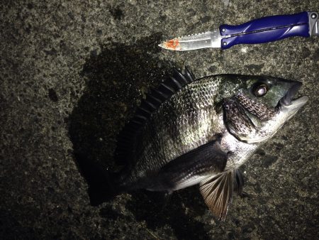 2015年ライトゲーム Vol.1