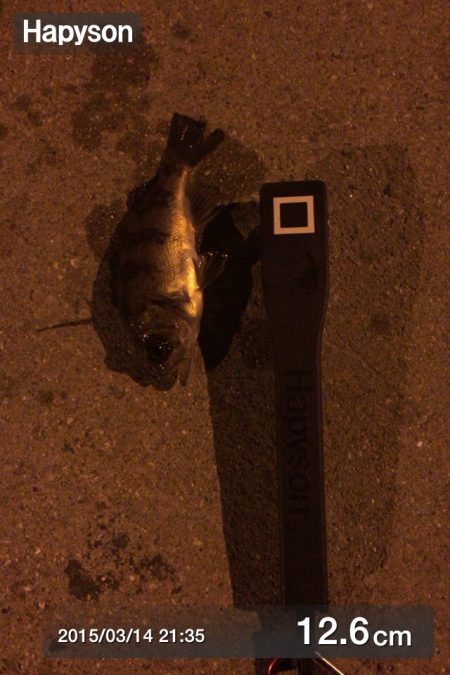 東二見　激渋のメバリング