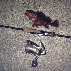 神戸空港でメバリングも思いの外、風強く…