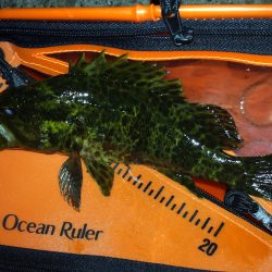 神戸〜垂水ランガン