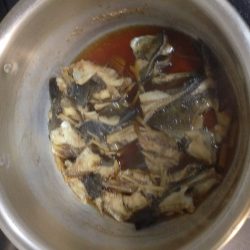 深日漁港メバリング