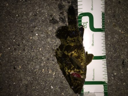 泉南地方ランガン釣行！ タケノコ祭り開催中…