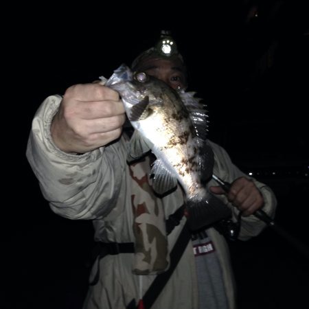 久し振りのメバリング