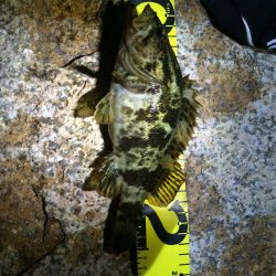 ライトゲームでタケノコ狩り