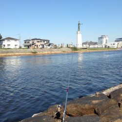 乗っ込みシーズン到来