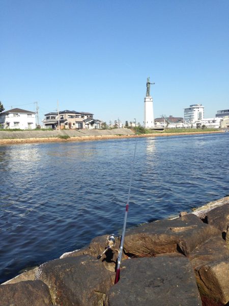 乗っ込みシーズン到来