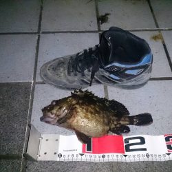 激渋の中の1本！