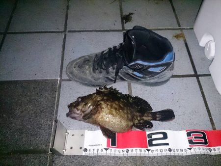 激渋の中の1本！