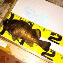 日本一のフィッシングホテルでメバリング♪