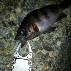 ミニっとメイク成功!?（笑）