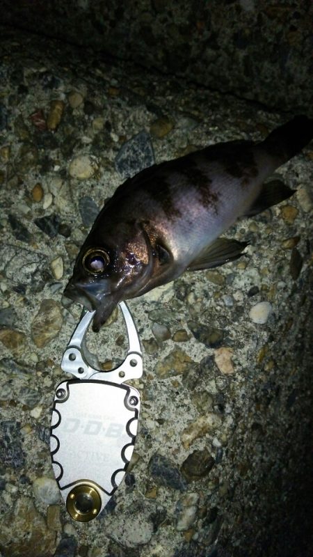 ミニっとメイク成功!?（笑）