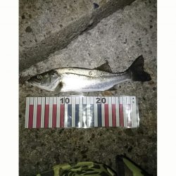 高砂港　ＪＨにて