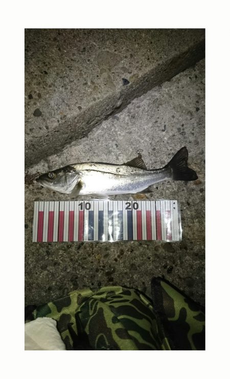 高砂港　ＪＨにて