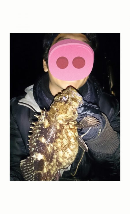 五色の浜でデガッシー