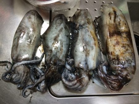 南紀でヤエン！