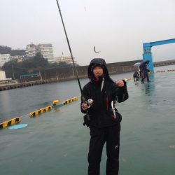 田ノ浦漁港　サビキからのアジング