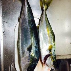 白浜周辺　ショアジギングでコマサ