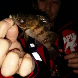 渋く当たり無い