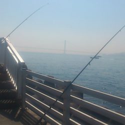 時期尚早？根魚も休眠中