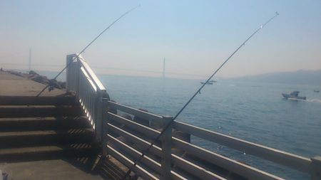 時期尚早？根魚も休眠中