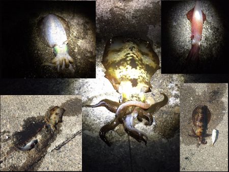 激寒の中・・・