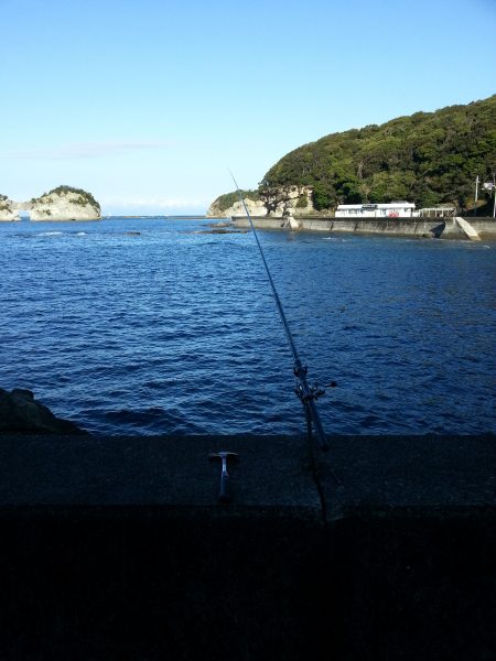 白浜周辺　ヤエンでなんとか、アオリイカ１杯1.6㌔