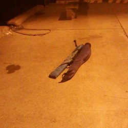 ちびメバルの数釣り