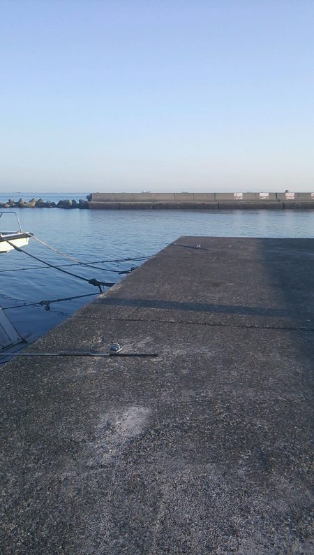 悲しいアブ新釣り