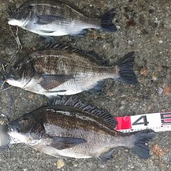 久し振りの釣行