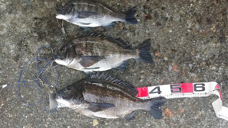 久し振りの釣行