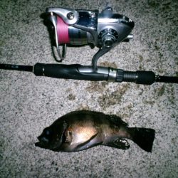 浅茂川周辺でのメバリング