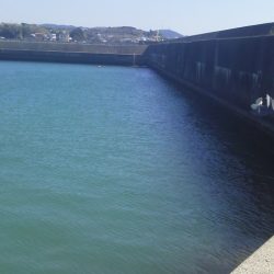 魚おらず・・・19cmガシラ・・・