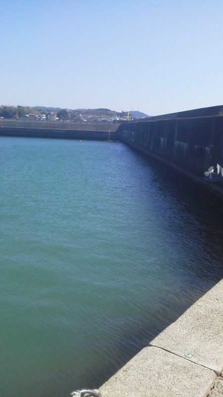 魚おらず・・・19cmガシラ・・・