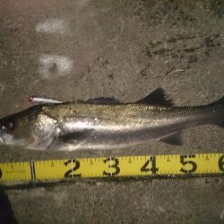 二週間ぶりに・・・