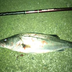 明暗にアップストリームキャスト