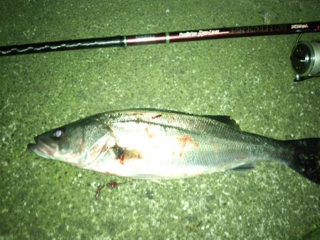 明暗にアップストリームキャスト