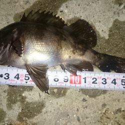 プラグに高反応(^.^)