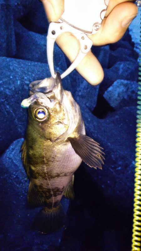 3度目の正直 VS 2度ある事は3度ある!?