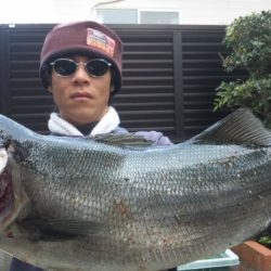 地磯からルアー釣り