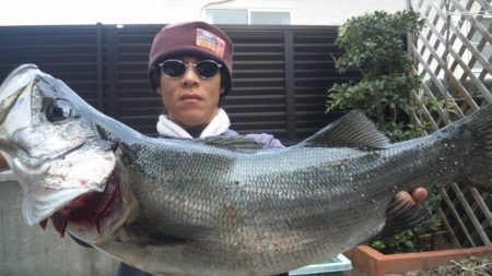 地磯からルアー釣り