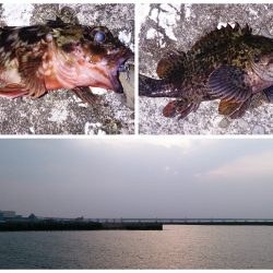 佐野漁港でのメバリングは気配なし((+_+))