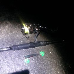 高砂埋立地　ルアーでシーバス狙い